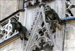088 Gargoyles in Schwaebisch Gmuend